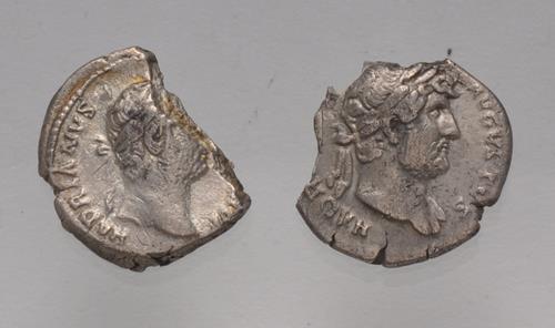 Lot 900 image