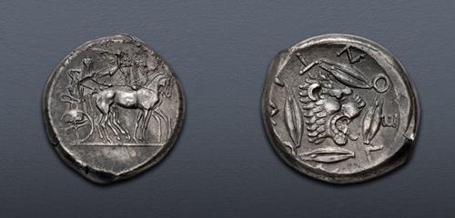 Lot 21 image