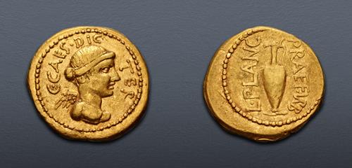 Lot 503 image
