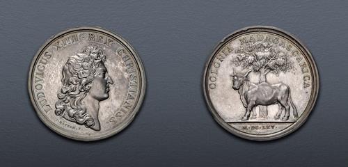 Lot 883 image