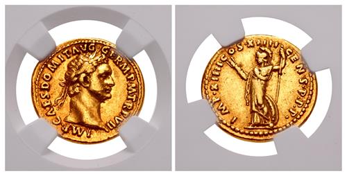 Lot 822 image