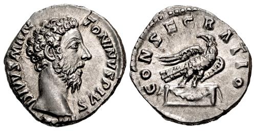 Lot 905 image