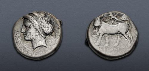 Lot 8 image