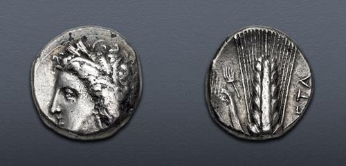 Lot 12 image