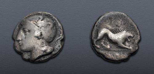Lot 13 image