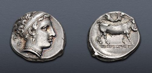 Lot 13 image