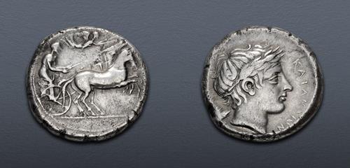 Lot 49 image
