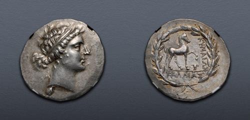 Lot 186 image