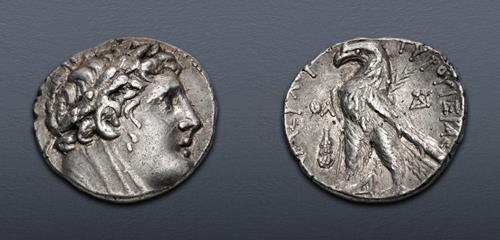 Lot 305 image