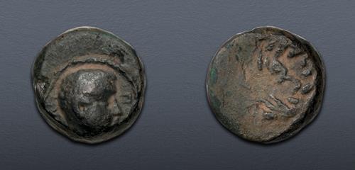 Lot 309 image