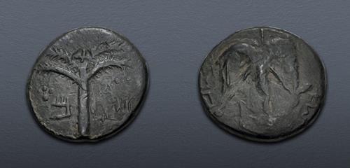 Lot 314 image