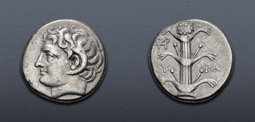 Lot 343 image