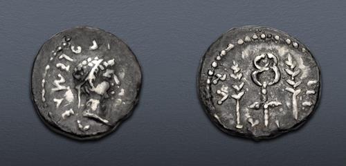 Lot 370 image