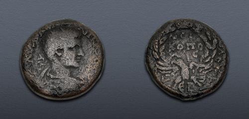 Lot 462 image