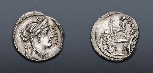 Lot 505 image
