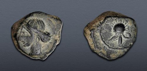 Lot 7 image