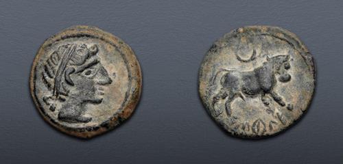 Lot 8 image