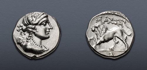 Lot 14 image