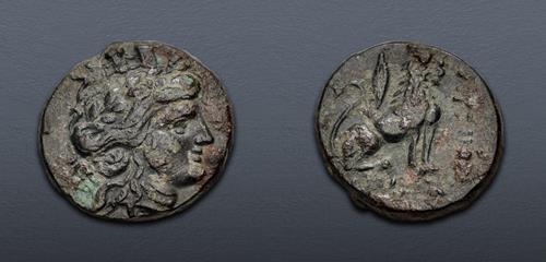 Lot 53 image