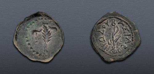 Lot 164 image