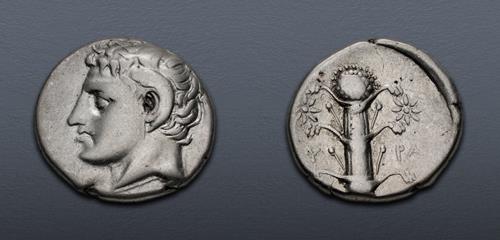 Lot 187 image