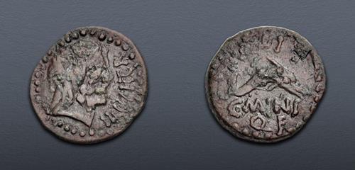 Lot 202 image