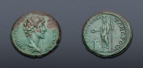 Lot 205 image