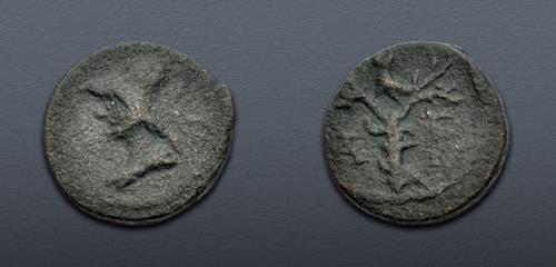Lot 212 image