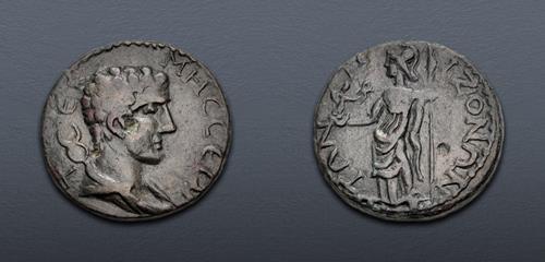 Lot 224 image