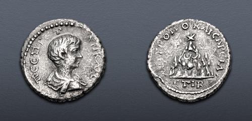 Lot 231 image