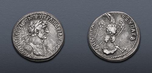 Lot 245 image