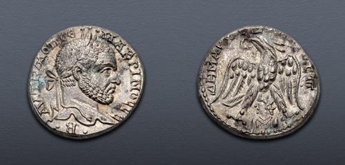 Lot 250 image