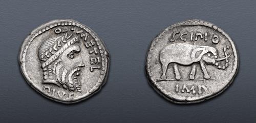 Lot 293 image