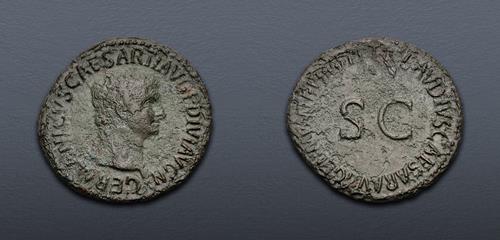 Lot 305 image