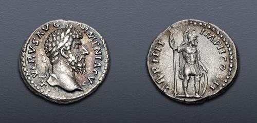Lot 364 image