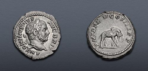 Lot 371 image
