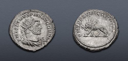 Lot 374 image