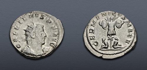 Lot 443 image