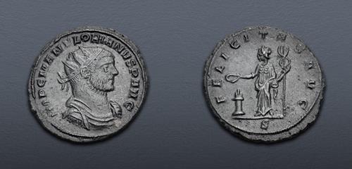 Lot 446 image