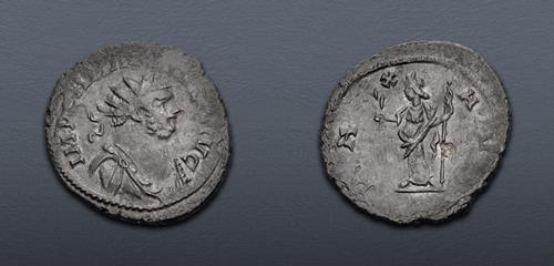 Lot 473 image