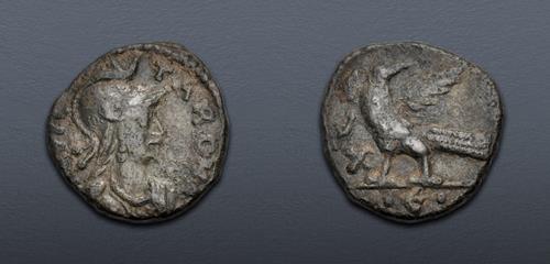 Lot 554 image