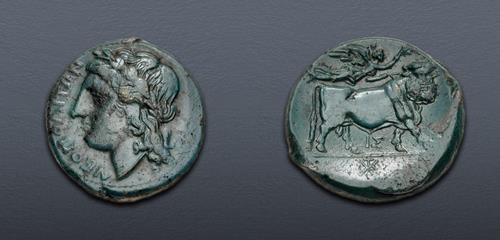 Lot nuber 12