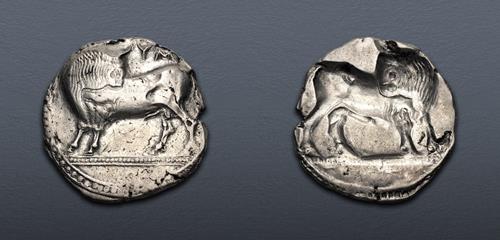 Lot 23 image