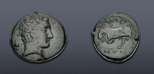 Lot 41 image