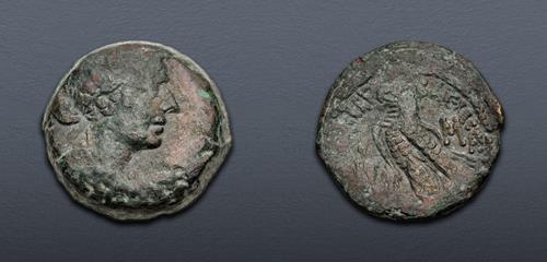 Lot 428 image
