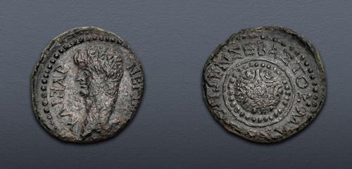 Lot 554 image
