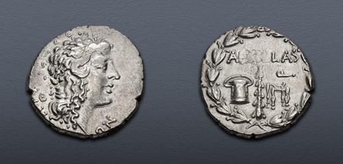 Lot 559 image