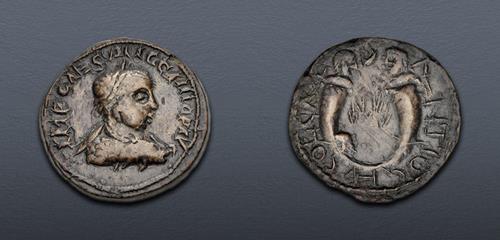 Lot 584 image