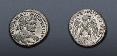 Lot 646 image