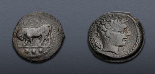 Lot 11 image